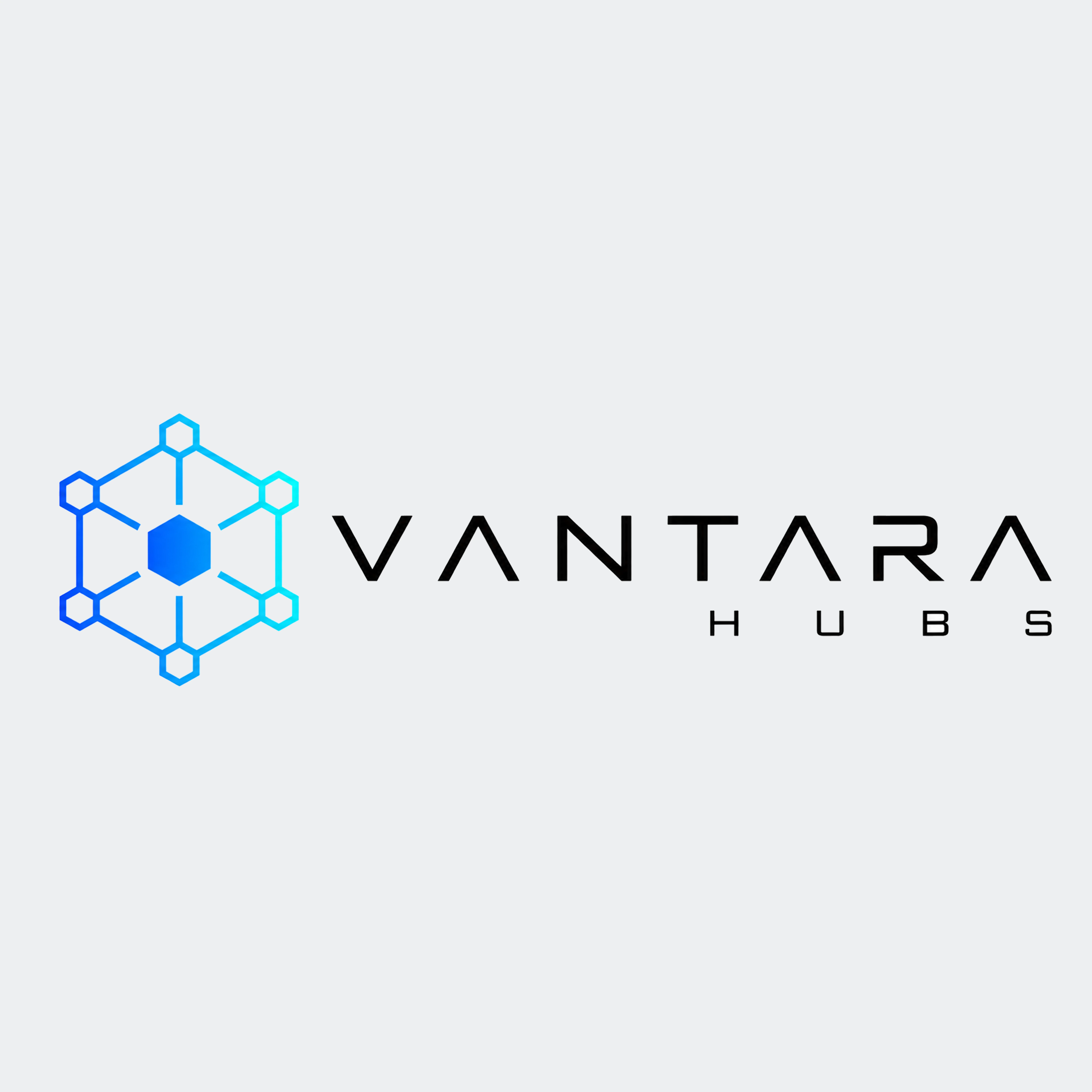 Vantara Hubs